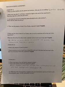 PHOTOSYNTHESIS LAB REPORT:1. When you blow bubbles into the ph... | Filo