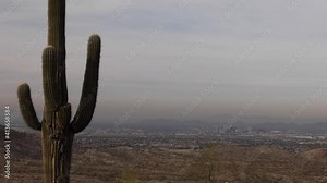 Phoenix Arizona Skyline Tracking By Cactus In Foreground