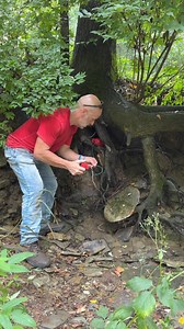 Professional root removal……. | Jason the Great