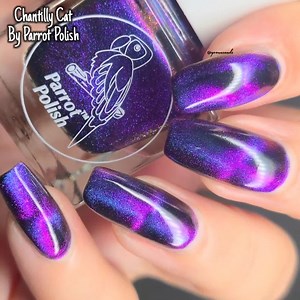 Parrot Polish "chantilly Cat" Magnetic Multichrome Nail Lacquer -purple/blue/black - Etsy