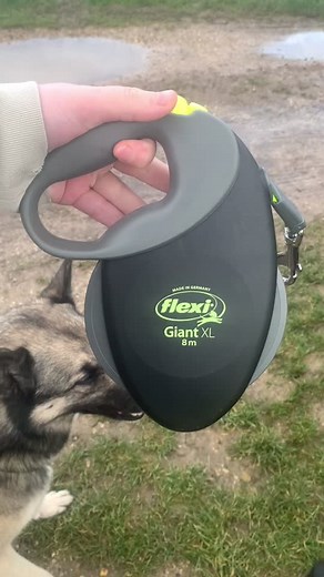 La flexi Giant XL