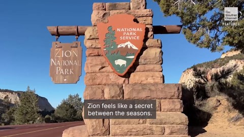 Five US national parks to visit this spring