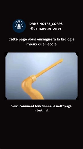 DANS.NOTRE_CORPS on Instagram: "Lavage intestinal : qu’est-ce que c’est et comment fonctionne-t-il dans le corps ? Le lavage intestinal (également appelé irrigation intestinale ou lavement, selon la méthode) est une procédure utilisée pour vider le gros intestin en stimulant l’élimination des selles accumulées. 🔬 Comment cela fonctionne dans l’organisme : 1️⃣ Introduction de liquide Un liquide — généralement de l’eau ou une solution spécifique — est introduit par le rectum. 2️⃣ Distension de l’