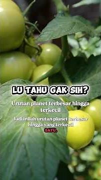 Urutan Planet Terbesar hingga Terkecil di Tata Surya!!