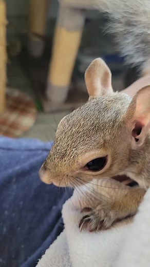 1.4K views · 1K reactions | I guess Cole decided that he needed a...