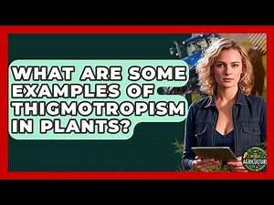 What Are Some Examples Of Thigmotropism In Plants? - The World of Agriculture