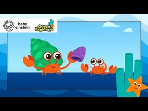 Different Sizes with a Hermit Crab + more Ocean Explorers | Baby Einstein | Kids Cartoons | Sea Life