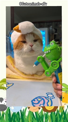 dinosaurs playing with cats 😂 #cat #funnycats #shorts