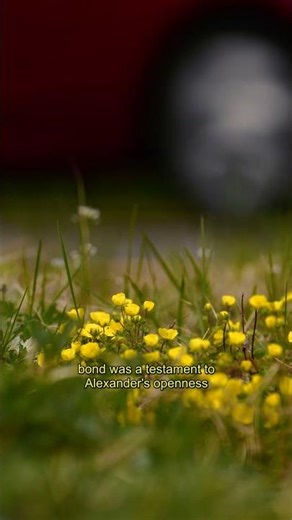 Alexander the Great & Roxana - True Love Story #shorts #history