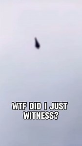 Meet the Peregrine Falcon 🔥 #Falcons #wildlife | Daily.quiz404