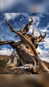 unbelievable things that actually happened #unbelievable #things