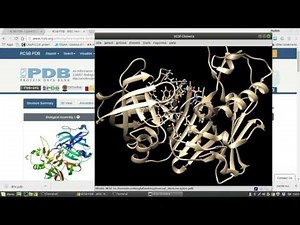 01 manual dock ucsf chimera