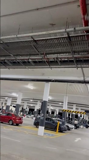 Harmless but effective laser bird deterrent from Bird Control Australia #birdcontrolaustralia