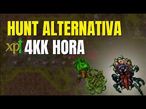 Tibia - Hunt Esquecida 4kk xp/h (Haunted Cellar)