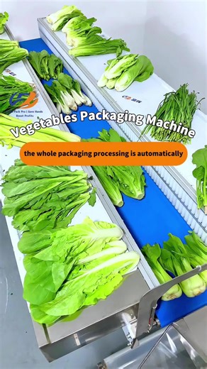 Don’t need to worry about how to package the vegetables. See to the end.#vegetablepackagingmachine #packingmachinery #machinery #vegetables #automatic #Automatic #machine #automatically