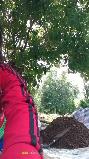 Creating organic fertilizer using cow manure biochar | Jeric Jz Asiong Zapico | Facebook