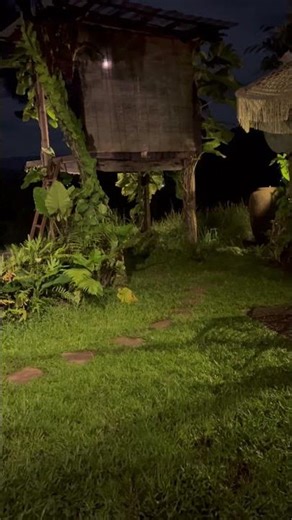 This frog sound is weirdly satisfying #relaxing #asmr