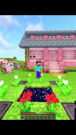 When Steve Turn End into Netherite World