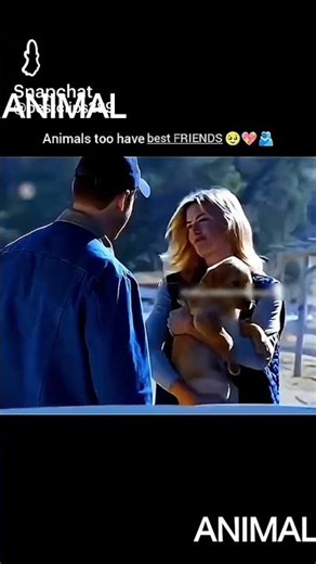 Animals are believer #Short #ANIMAL