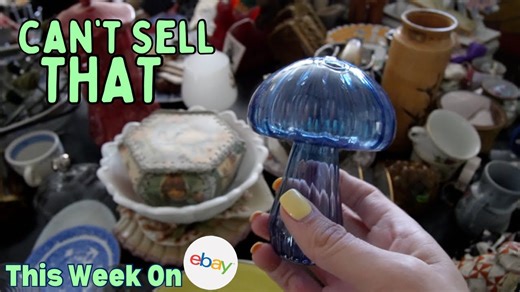 I Can't SELL THAT | Ebay Behind The Scenes | Reselling
