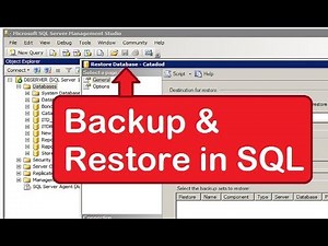 how to backup and restore database in SQL server 2008 step by step