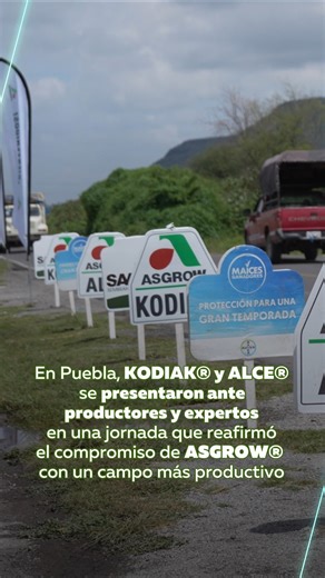 275 reactions · 22 shares | El lanzamiento de KODIAK® y ALCE® en Puebla reunió a productores y especialistas en una jornada donde ASGROW® reafirmó su compromiso con la innovación, la sustentabilidad y la productividad, impulsando un campo más fuerte.  #hazfuturo Servicios y Asesoría Agrícola de Oriente S.A de CV | Asgrow México | Facebook