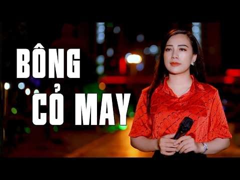 Bông Cỏ May | Nhạc Trữ Tình Bolero Đỉnh Cao Nghe Cuốn Từng Câu Từng Chữ | Thanh Hiền