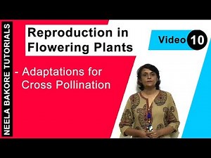 Reproduction in Flowering Plants | NEET | Adaptations for Cross Pollination | Neela Bakore Tutorials