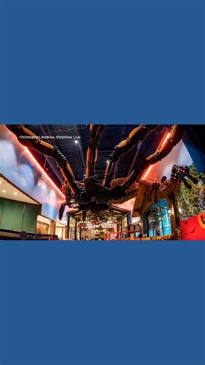 Time lapse shows giant balloon spider being built