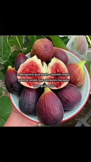 5 manfaat buah tin bagi kesehatan