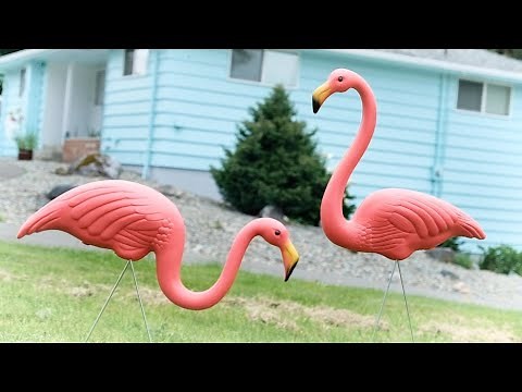Make your own pink lawn flamingo - because....why the heck not?!