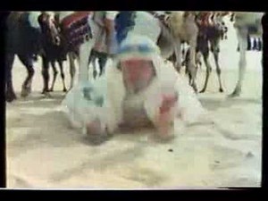 マルちゃん赤いきつねと緑のたぬき・他CM ８０年代