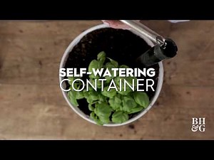 Self-Watering Container | Made by Me-Garden | Better Homes & Gardens