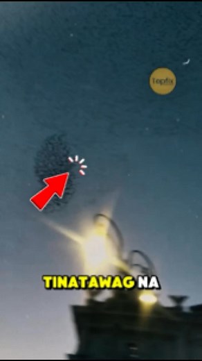 Misteryosong Pangyayari? #starlings #murmuration #phenomenon #question | Topfix