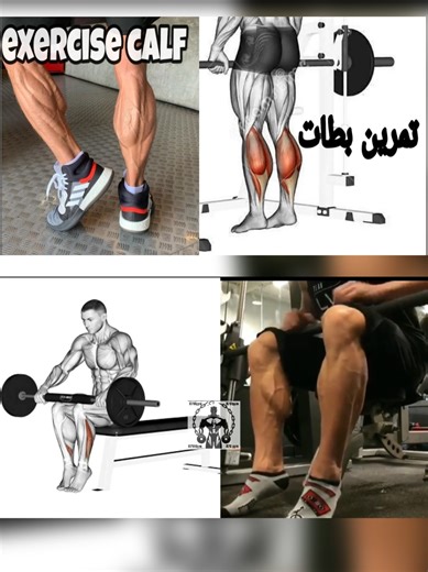 Calf Exercises: Workouts to Build Calf Muscles—The Most Effective Exercises for Targeting the Calves. #calfexercises #workout #exercise #gym #fitness