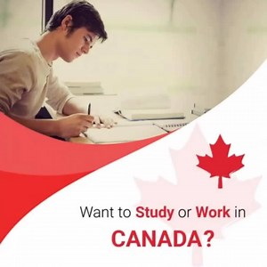 215 reactions · 22 shares | Dream Destination Canada Offers you the Easiest Way to Migrate to Canada. Contact us Now for More Details. | Dream Destination Canada | Facebook