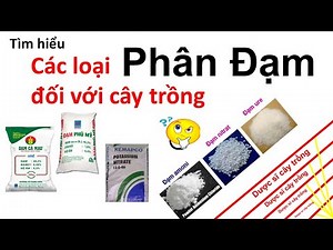 Bạn đã biết về nguồn gốc sản xuất và tác dụng của phân đạm chưa? | fertilizer | Nitơ | phân đa lượng