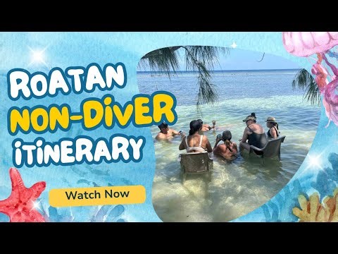 What To Do in Roatan for Non-Divers | 6-Day Itinerary You’ll Love
