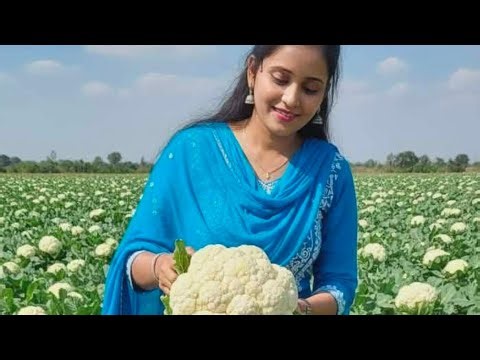 Ramsumiranmaurya लाइव है!