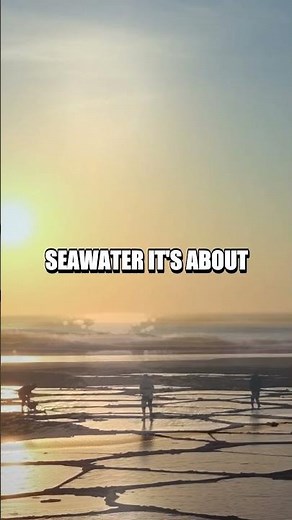 Mastering the Art of Natural Salt Extraction