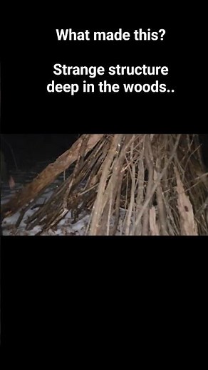 What made this strange structure in the woods? #bigfoot #bigfootadventures
