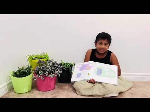 Can Somebody Please Scratch My Back | Azmeena's Book Club | Read aloud for kids