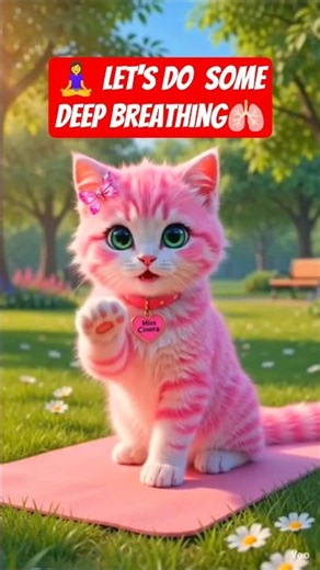Why Deep Breathing Is Important? Miss Cinera Explains 😻#catvideos #healthtips