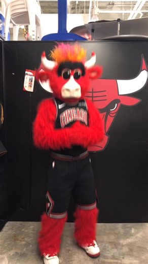 Get it? ...it’s a bun #fyp #putitinabun #goodboy