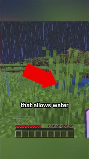 rain puddles are TERRIBLE IDEA
