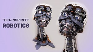 building a robot neck inspired by human spine mechanics