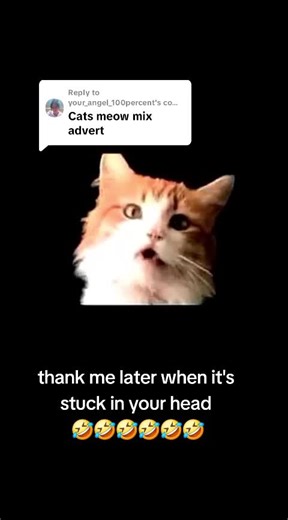 Meow Mix Cat Food: 1980s Ads and Flavor Variety