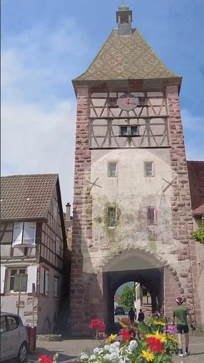 This Is Bergheim, Alsace 🇫🇷 | A Hidden Gem in France