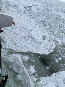 流氷が見たい！！申し込んだツアーは催行中止！だったらマイルを使って自分で行こう!爆弾低気圧で2回の欠航を経てやっと流氷に！ (網走) - 旅行のクチコミサイト フォートラベル