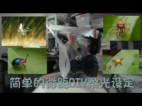 简单又有效的微距摄影Macro DIY柔光罩(My macro diy flash diffuser setup)